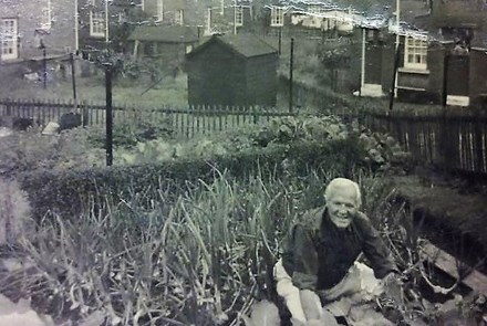 Allotments & Vegetable Gardens